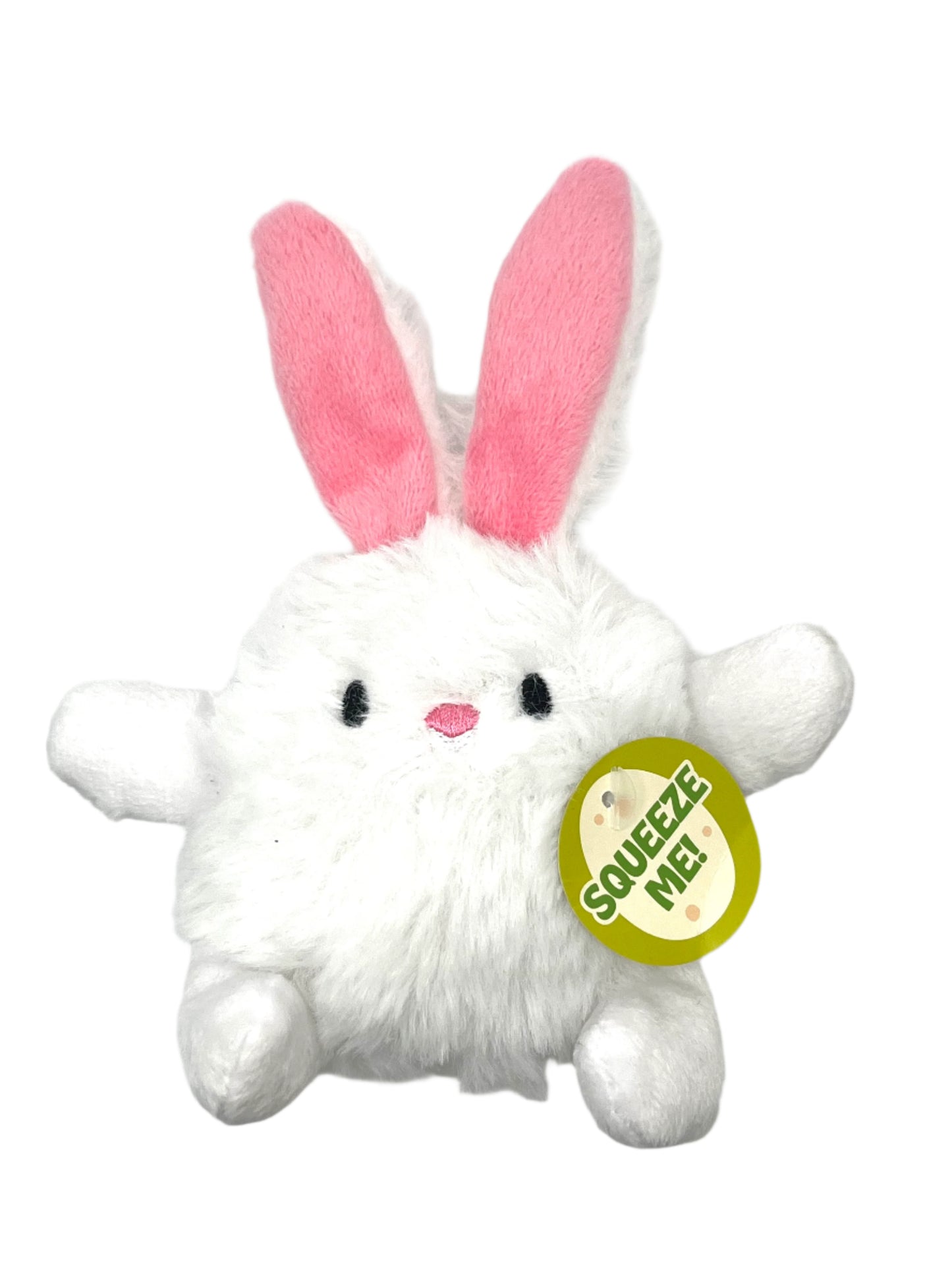 Plush Squeaky Bunny Dog toy